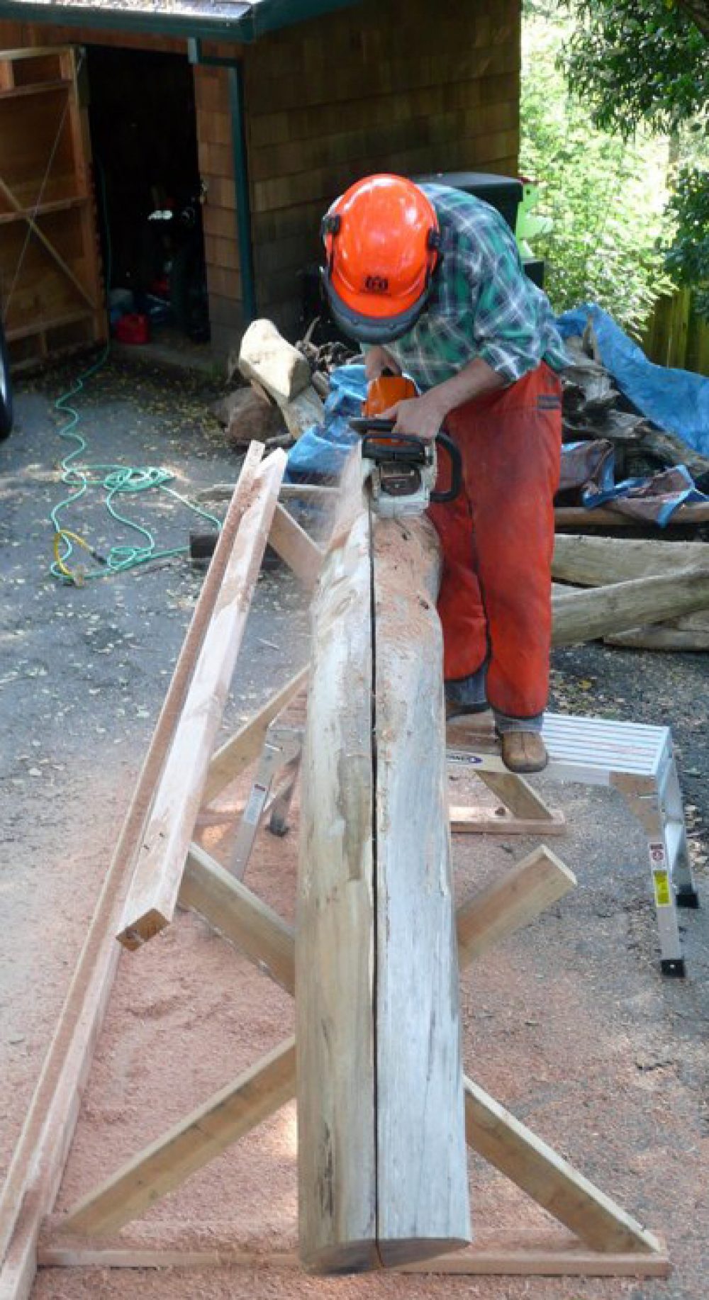 Man in orange hard hat using a chain saw to cut a shapely very smooth driftwood log in half