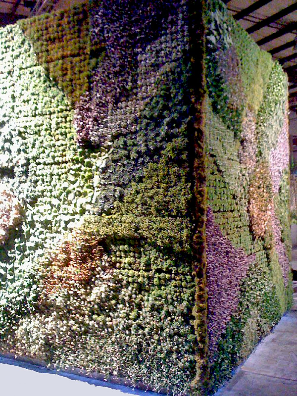 Corner view of building structure showing the different textures and deep green colors of the plants