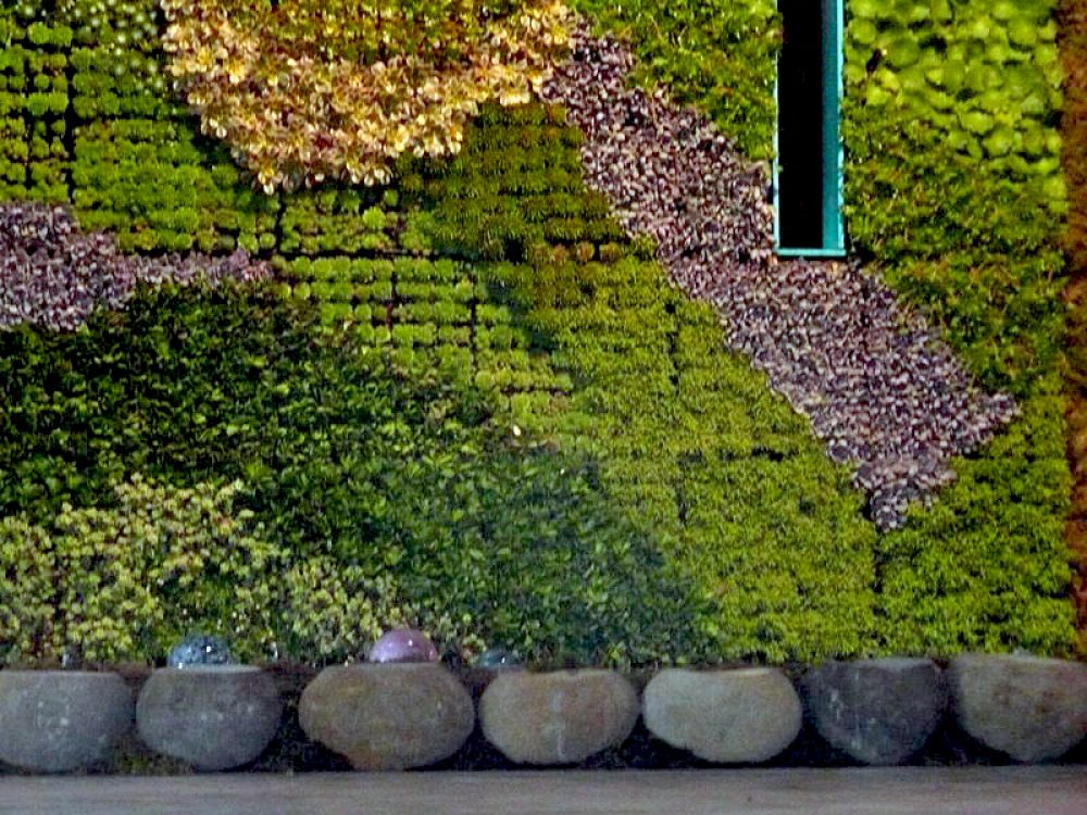 Close up of plant-covered wall and blue slat window with the same height potted plants along the bottom edge of the building