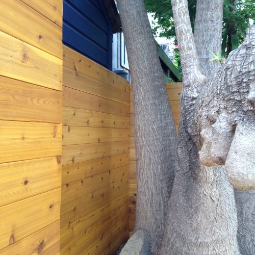 Slat fencing next to large tree