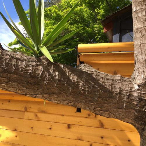 Close up of fencing with vertical slats showing wood knots and custom rollers on top to discourage animals